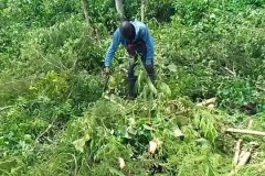 LA-VIE-EN-PRINCIPAUTE_078