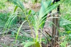 LA-VIE-EN-PRINCIPAUTE_083