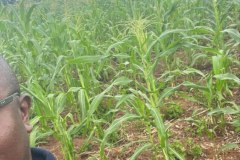 LA-VIE-EN-PRINCIPAUTE_091