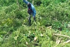 LA-VIE-EN-PRINCIPAUTE_093