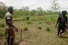 LA-VIE-EN-PRINCIPAUTE_107