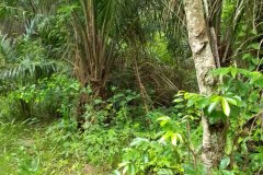 photo_4_2024-08-27_19-42-59