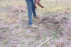 UNE-PRINCIPAUTE-EN-CHANTIER_43