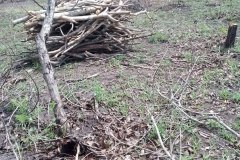 UNE-PRINCIPAUTE-EN-CHANTIER_59