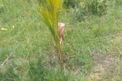 UNE-PRINCIPAUTE-EN-CHANTIER_61