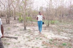 UNE-PRINCIPAUTE-EN-CHANTIER_62