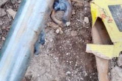 UNE-PRINCIPAUTE-EN-CHANTIER_77