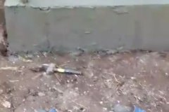 UNE-PRINCIPAUTE-EN-CHANTIER_83