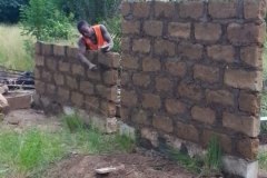 la-principaute-des-baobabs04