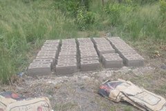 la-principaute-des-baobabs10