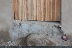 la-principaute-des-baobabs12