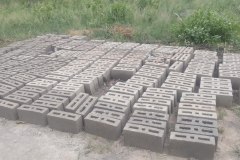 la-principaute-des-baobabs13